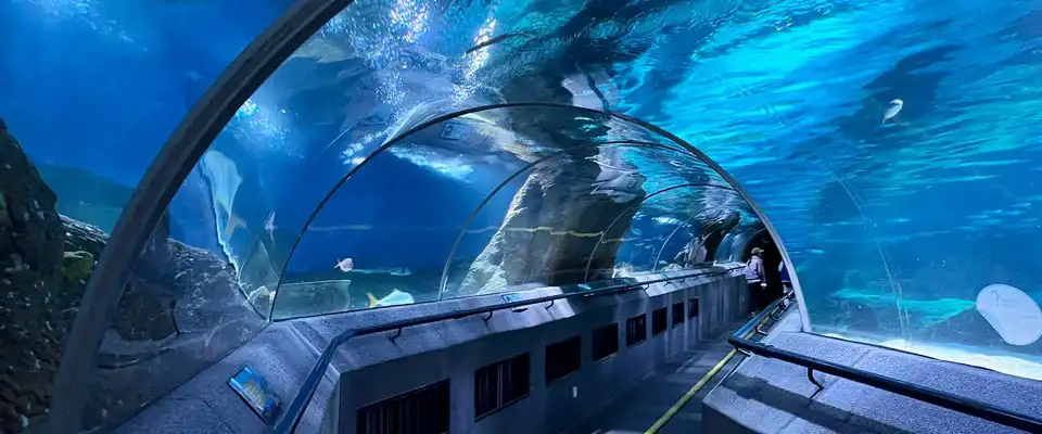 Sunasia Ocean World (Shengya Haiyang Shijie) в Даляне Sunasia Ocean World: океанариум в Даляне